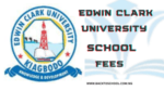 Edwin Clark University School Fees 2025/2026