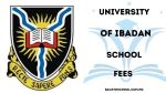 UI School Fees (UNIBADAN) for all Courses 2025/2026