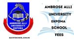 AAU School Fees for all Courses 2025/2026